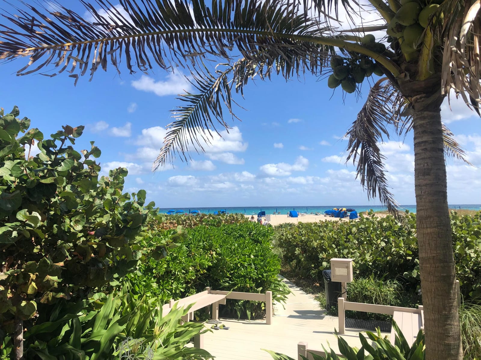 2800 N Ocean Drive B-23c, Singer Island, FL 33404 photo 28