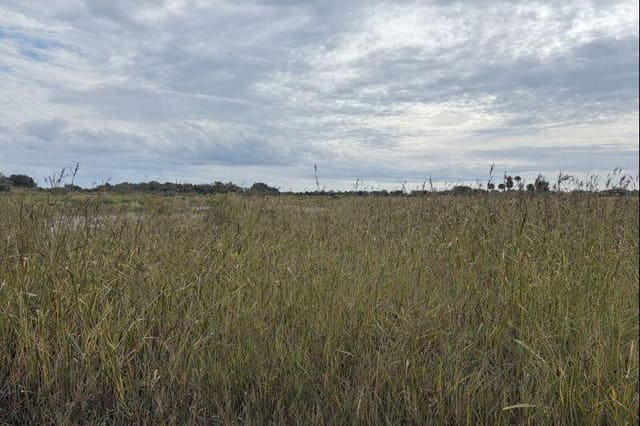 0 NW 306th Street, Okeechobee, FL 34972