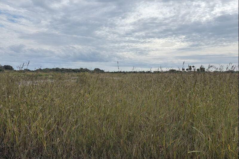 0 NW 306th Street, Okeechobee, FL 34972, Okeechobee