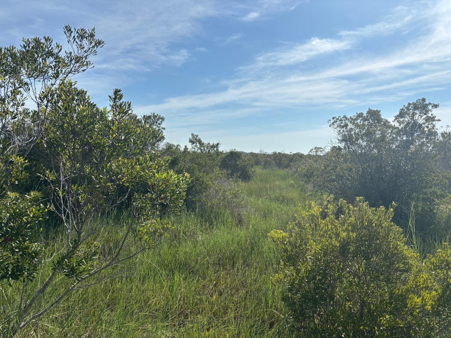 0 NW 308th Street, Okeechobee, FL 34972, Okeechobee