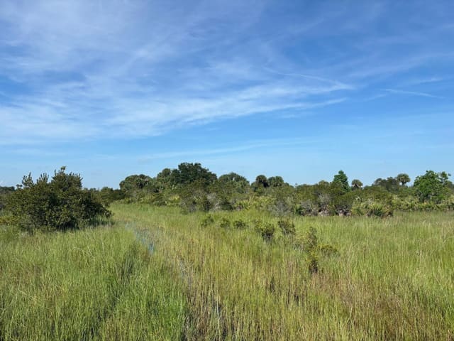 0 NW 308th Street, Okeechobee, FL 34972