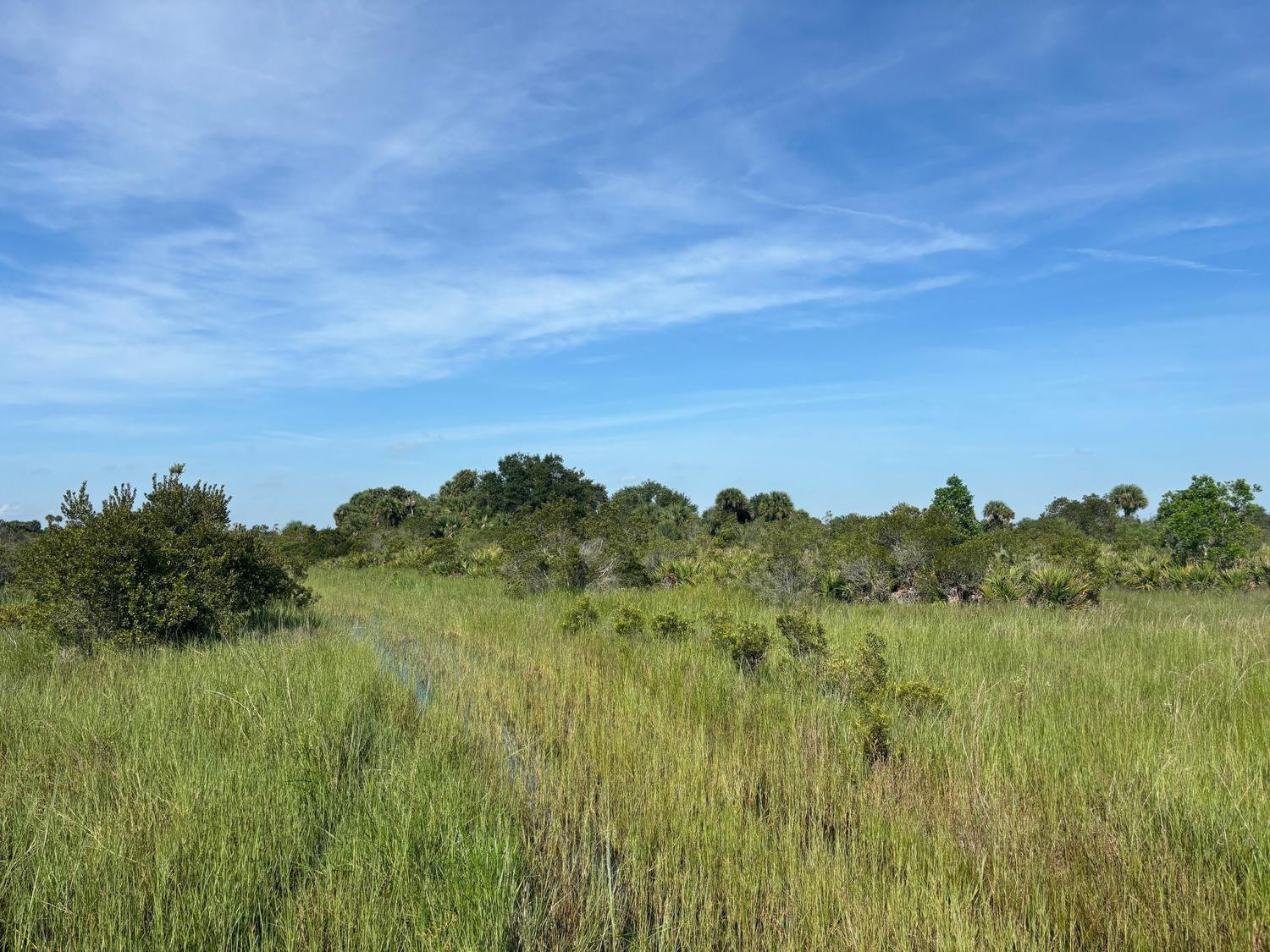 0 NW 308th Street, Okeechobee, FL 34972, Okeechobee