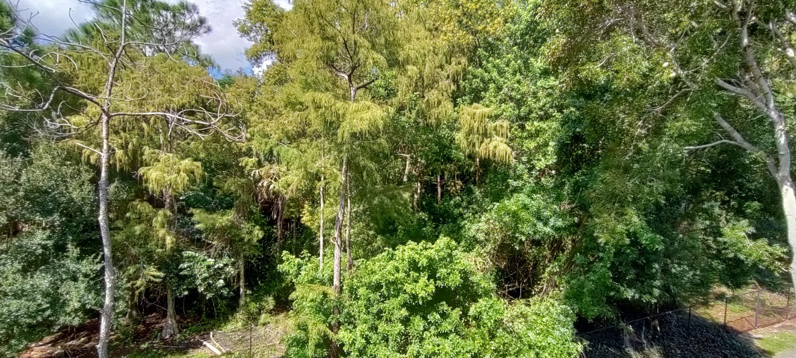 1000 Crestwood Court S 1008, Royal Palm Beach, FL 33411 photo 17