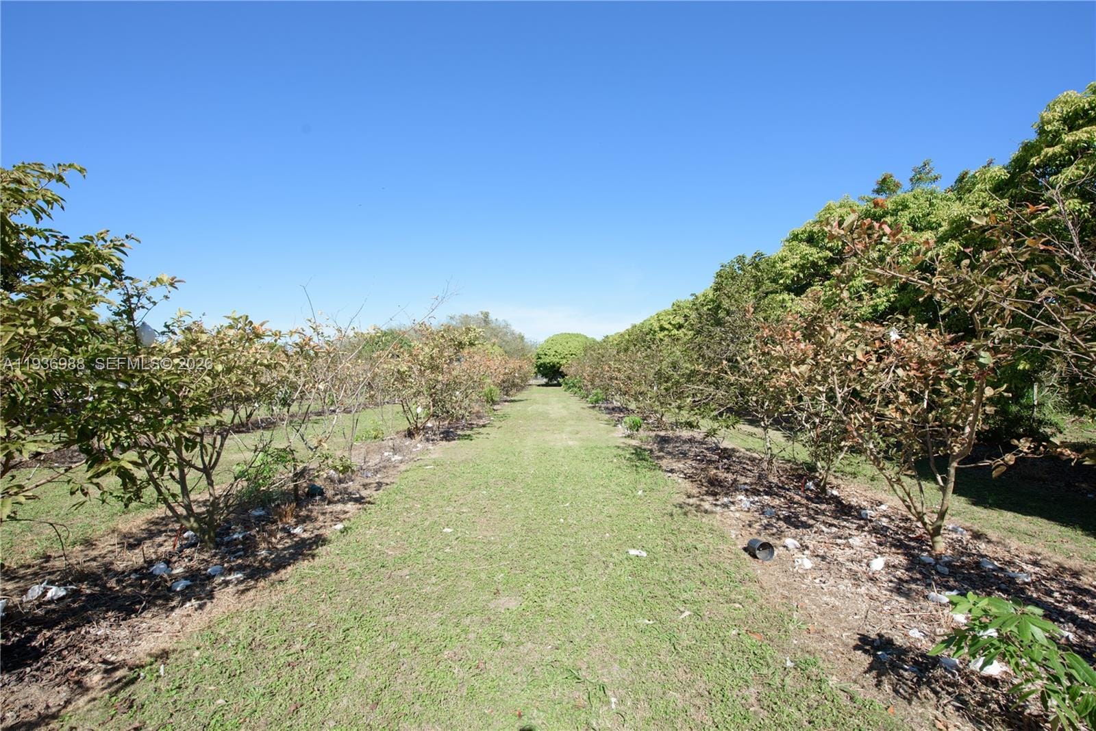 21295 SW 376th Street, Homestead, FL 33034 photo 29