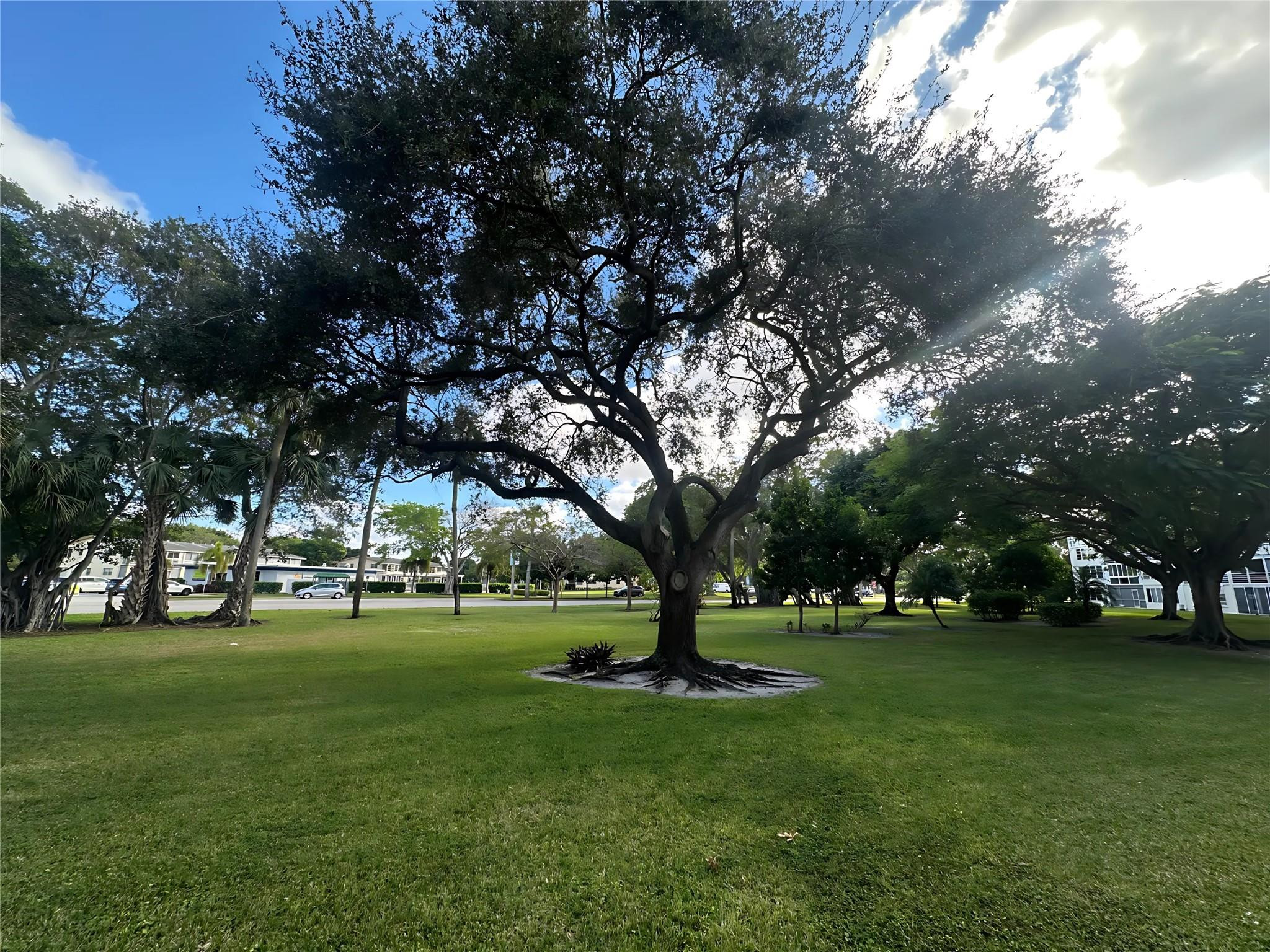 3006 Cambridge A 3006, Deerfield Beach, FL 33442, Deerfield Beach