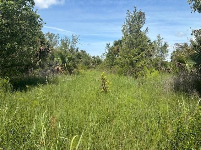 0 NW 310th Street, Okeechobee, FL 34972