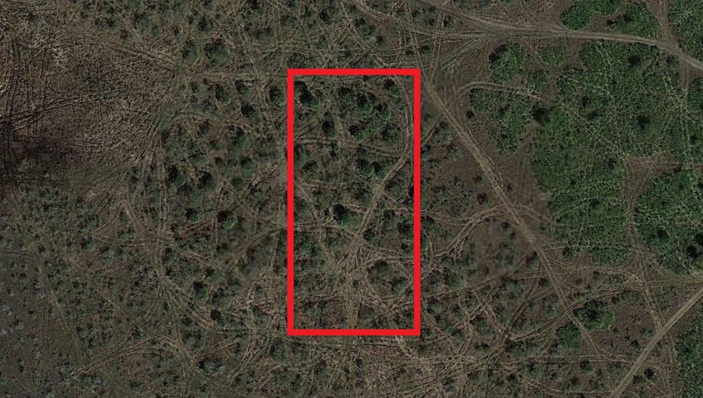 0 NW 310th Street, Okeechobee, FL 34972 photo 2