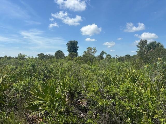 0 NW 310th Street, Okeechobee, FL 34972, Okeechobee