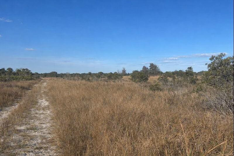 0 NW 290th Street, Okeechobee, FL 34972, Okeechobee