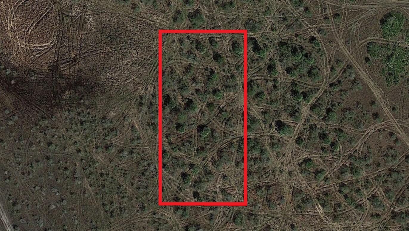 0 NW 310th Street, Okeechobee, FL 34972 photo 2