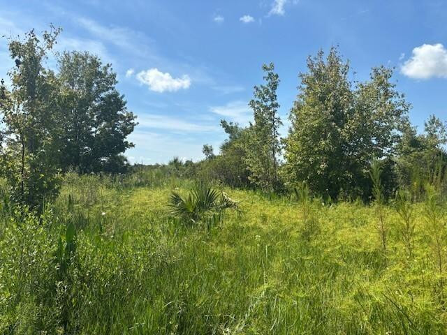 0 NW 310th Street, Okeechobee, FL 34972, Okeechobee