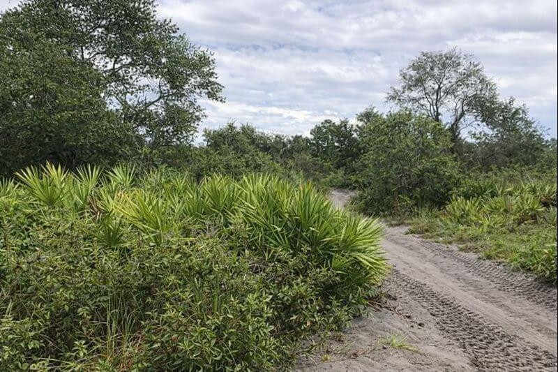 0 Alturas Babson Park Cutoff Road, Lake Wales, FL 33859, Lake Wales