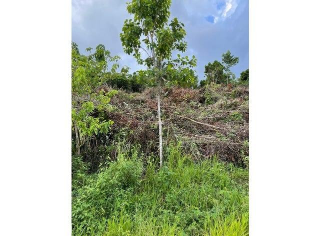 0000 139 Court, FL 34432, Dunnellon