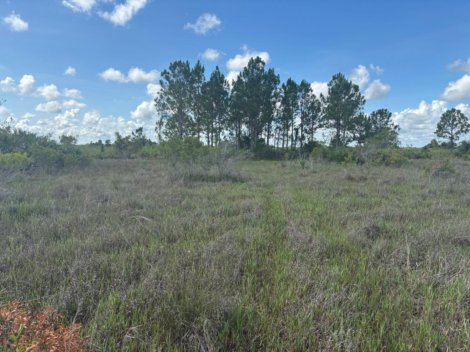 0 290th Street, Okeechobee, FL 34972, Okeechobee