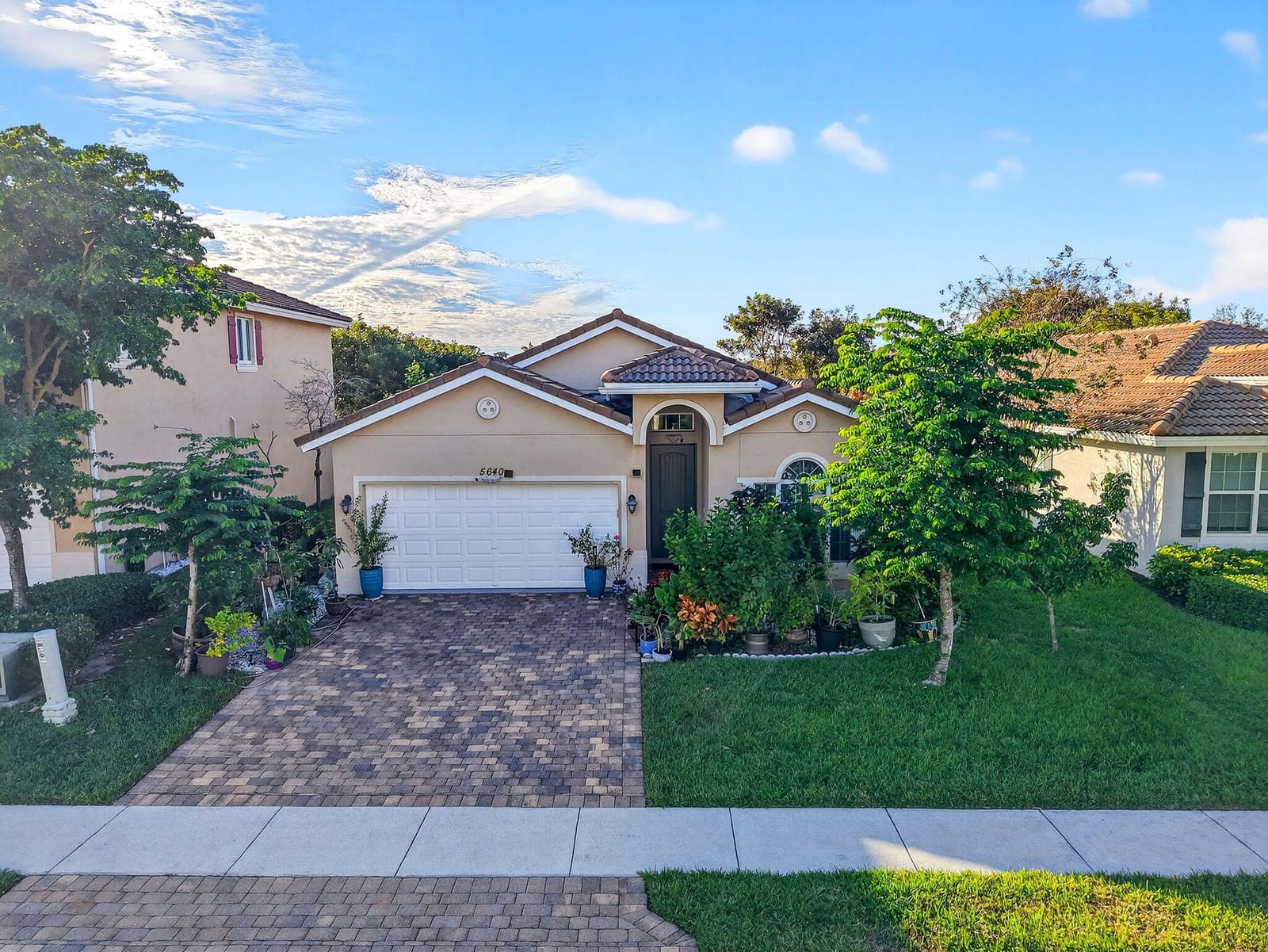 5640 Caranday Palm Drive — photo 2