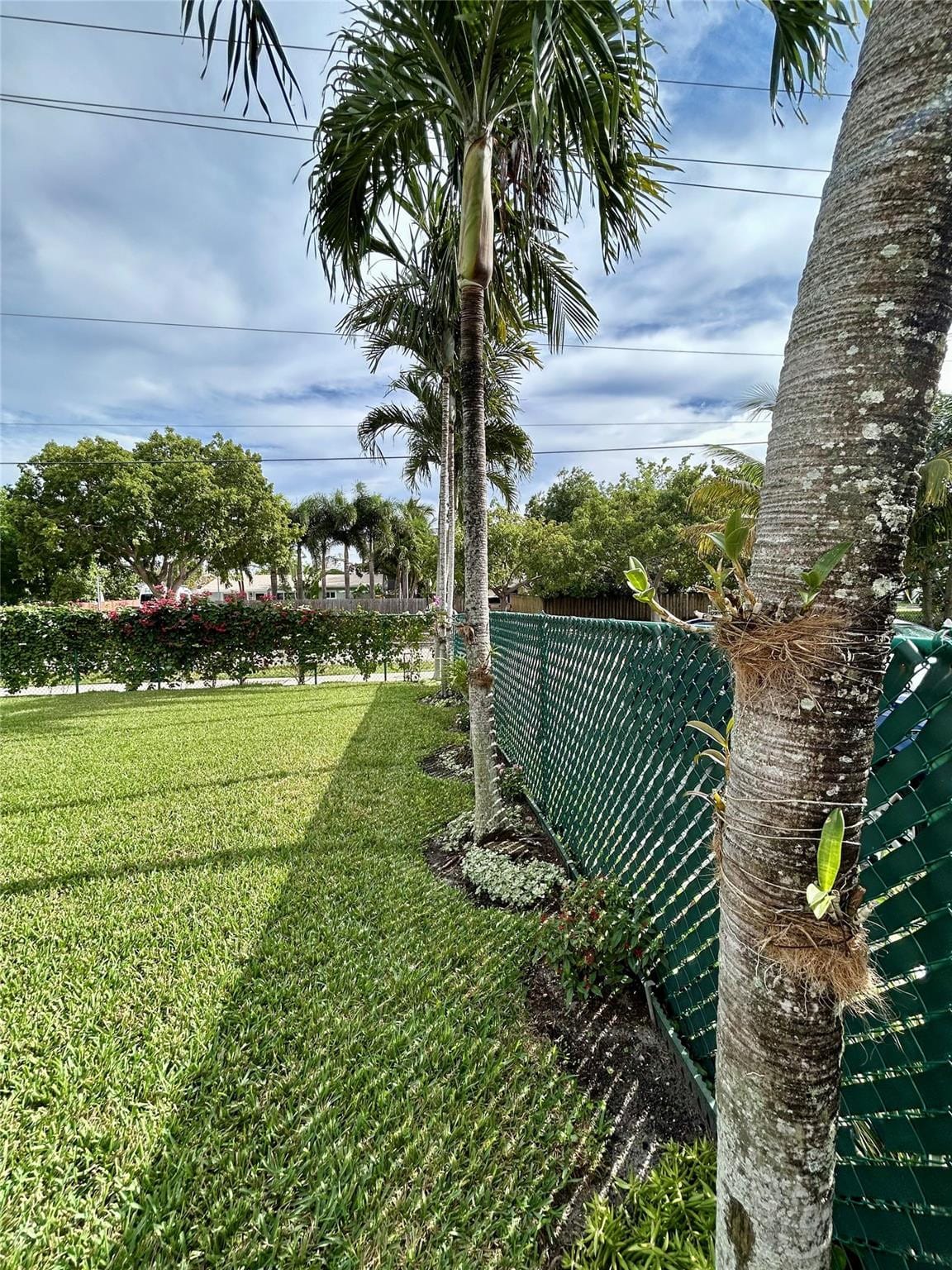 5971 NE 6th Avenue, Fort Lauderdale, FL 33334 photo 21