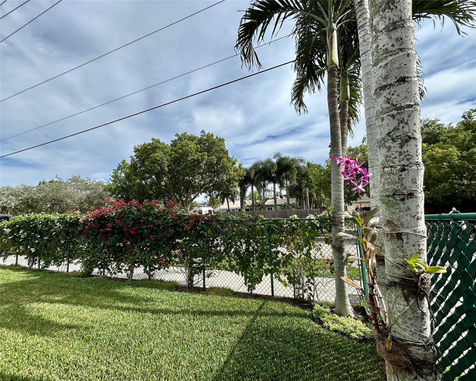 5971 NE 6th Avenue, Fort Lauderdale, FL 33334 photo 23