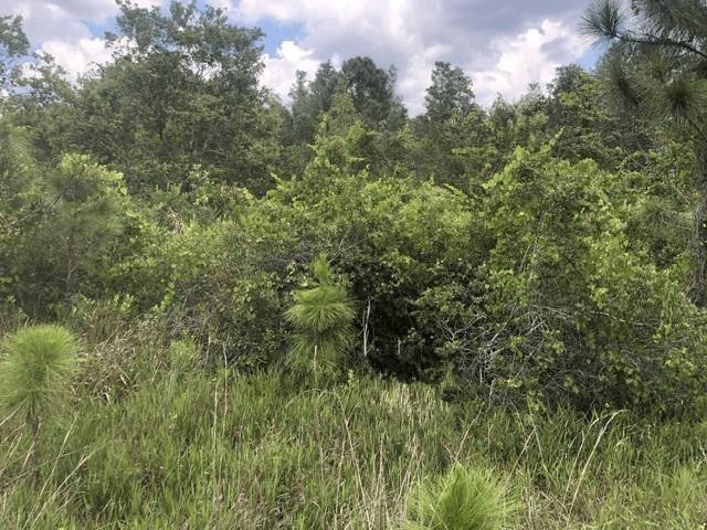 0 Xeriscape Nursery Road, Frostproof, FL 33843, Frostproof