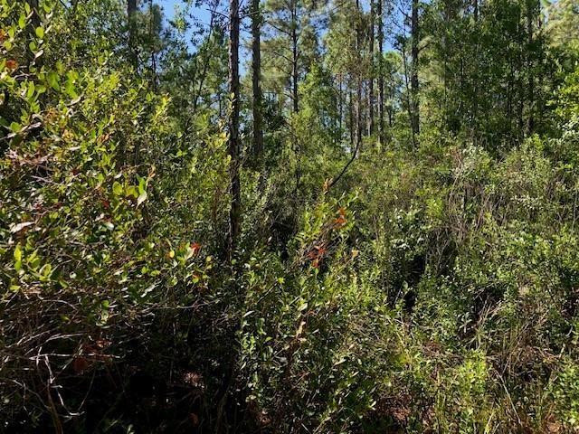 0 Old Grade Road, FL 33868, Polk City