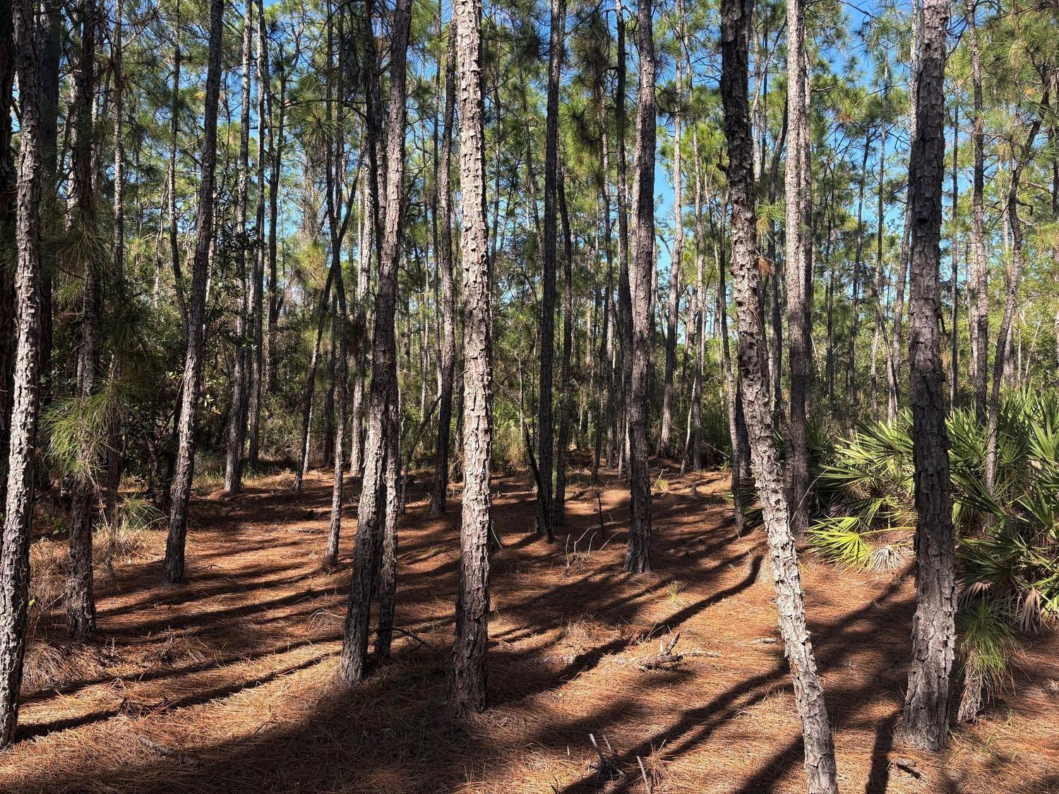 0 Fourth Avenue, St. Cloud, FL 34771, St Cloud