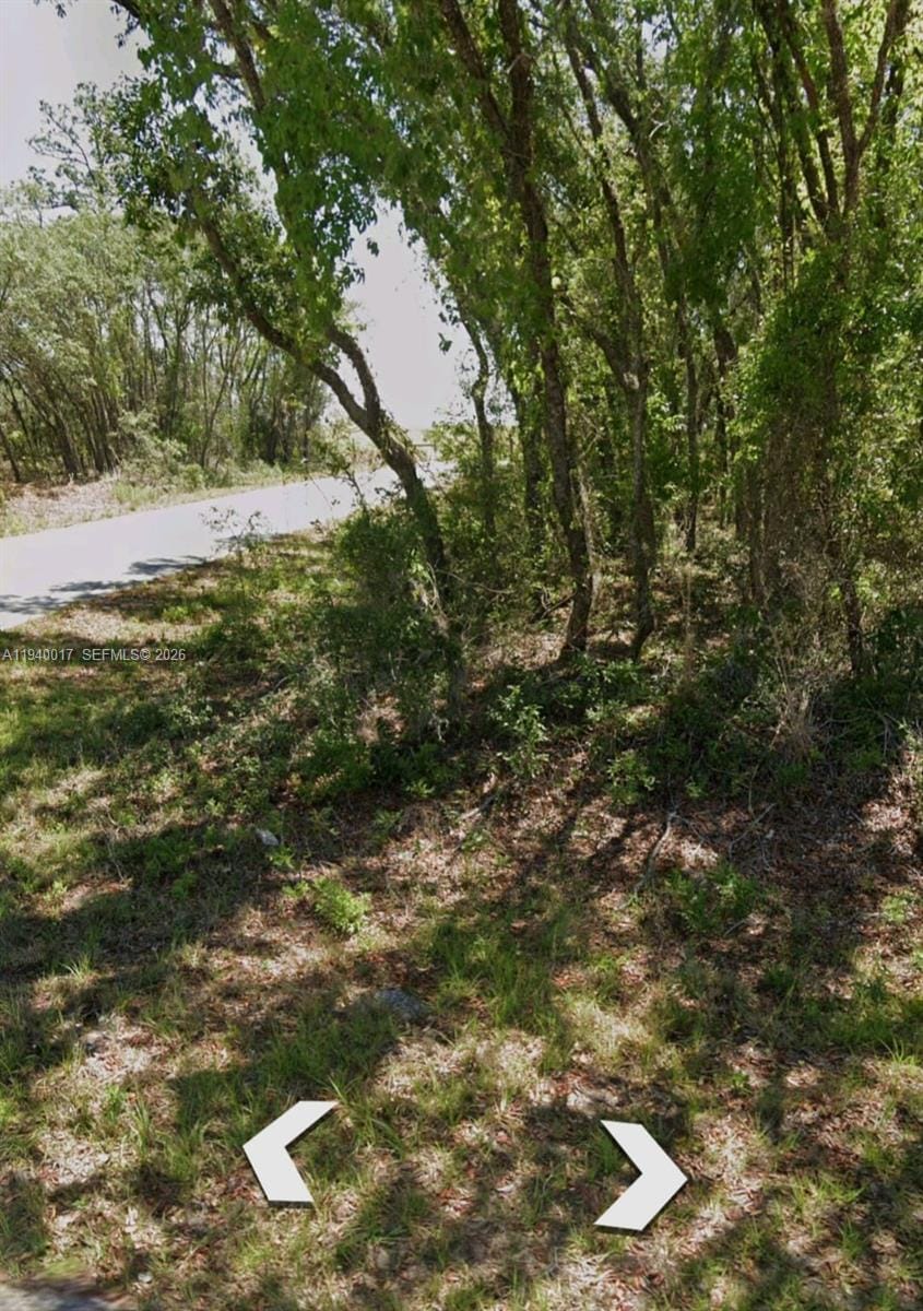 LOTS 1.2 NW Lots 1.2 Buena Vista Road — photo 5