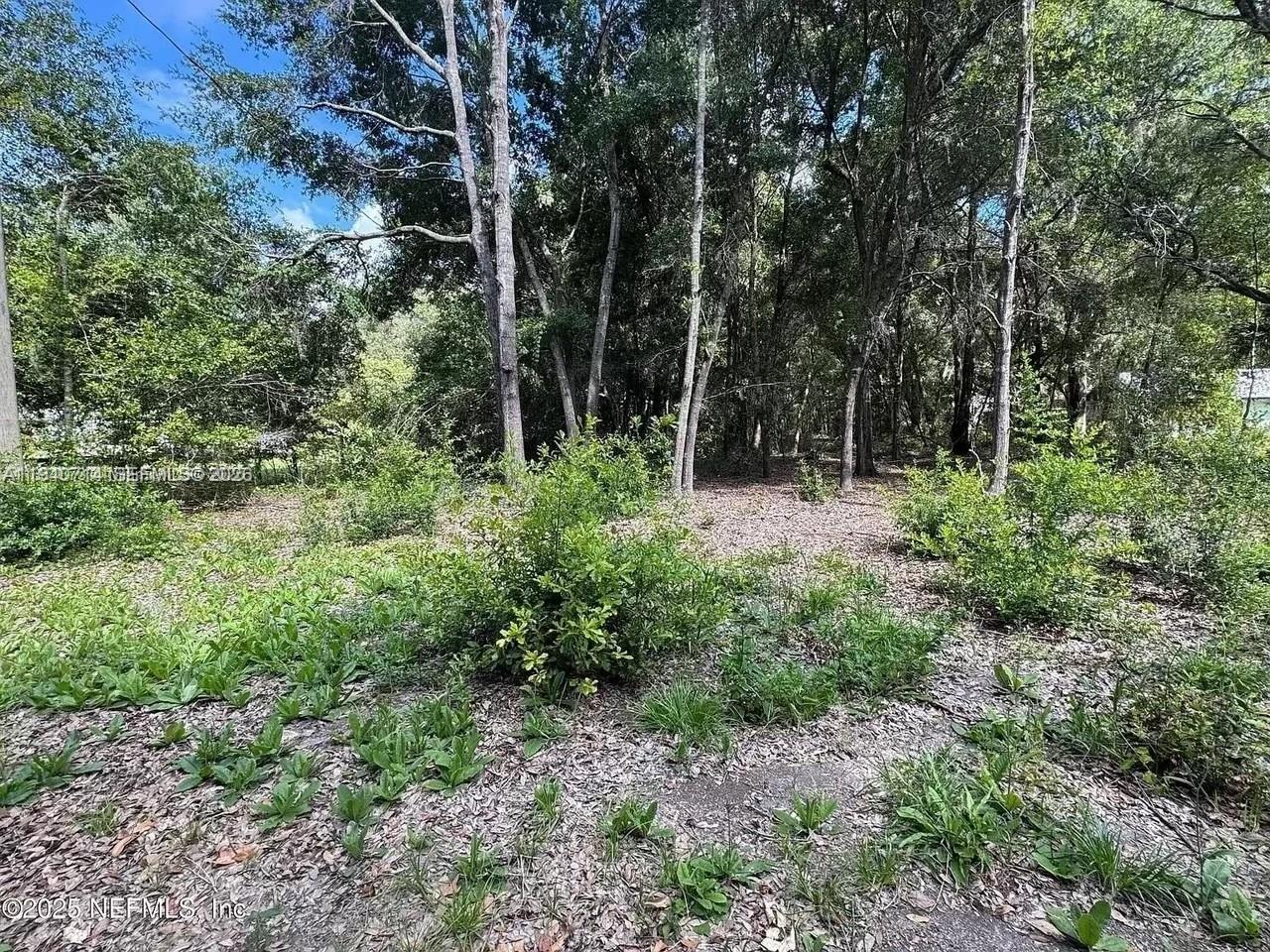 210 Pine Street, FL 32640, Hawthorne