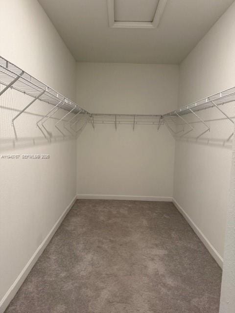 11954 SW 241st Street, Homestead, FL 33032 photo 18