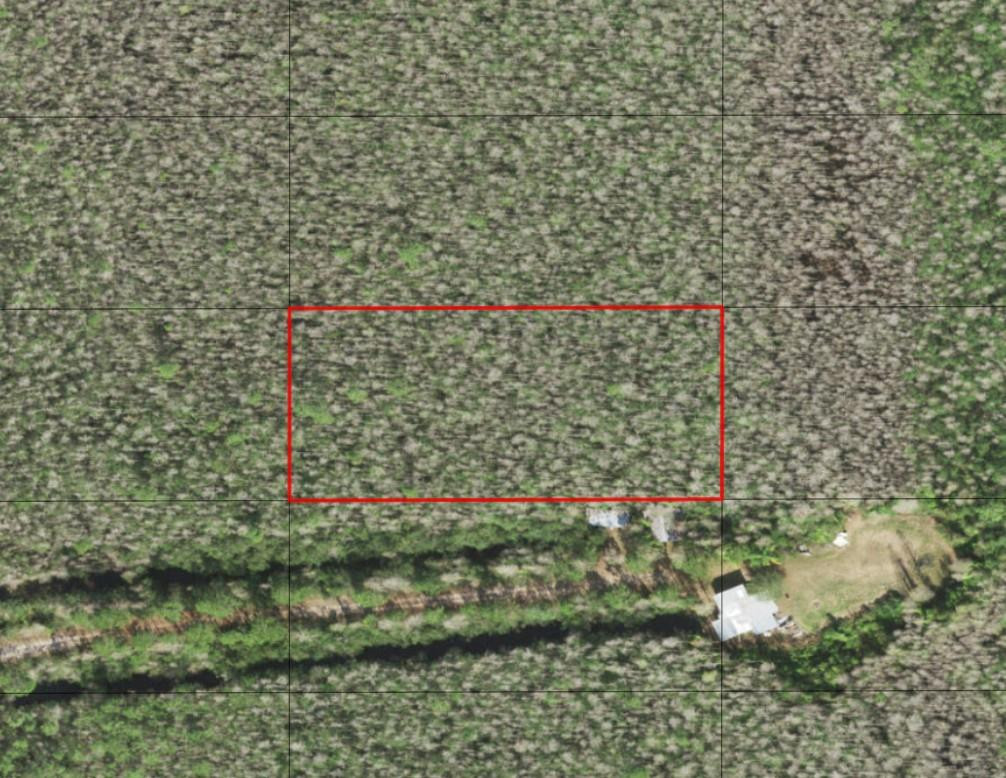0 Holopaw Groves Road, St. Cloud, FL 34772, St Cloud