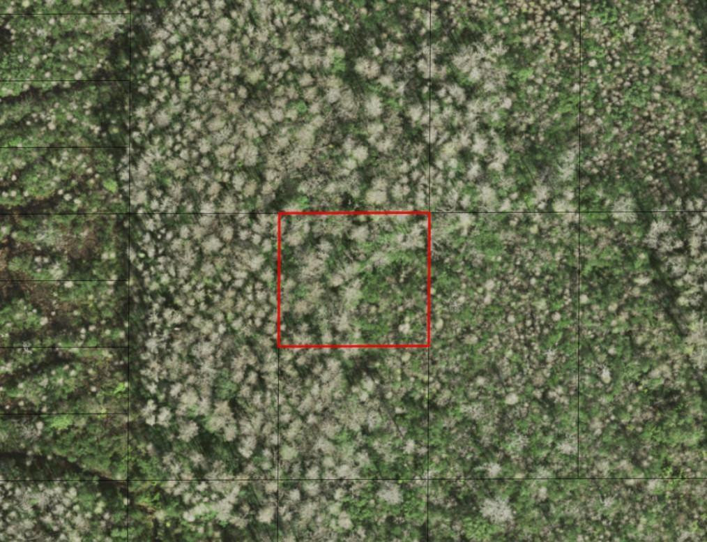 0 Holopaw Groves Road, St. Cloud, FL 34772, St Cloud