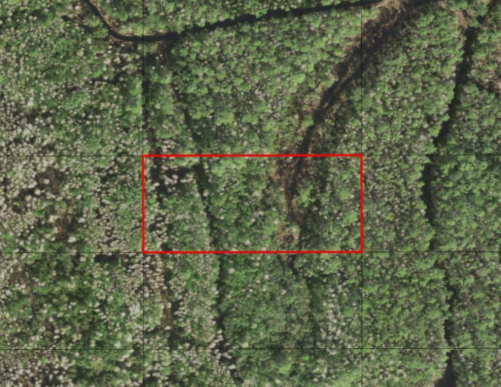 0 Holopaw Groves Road, St. Cloud, FL 34772, St Cloud