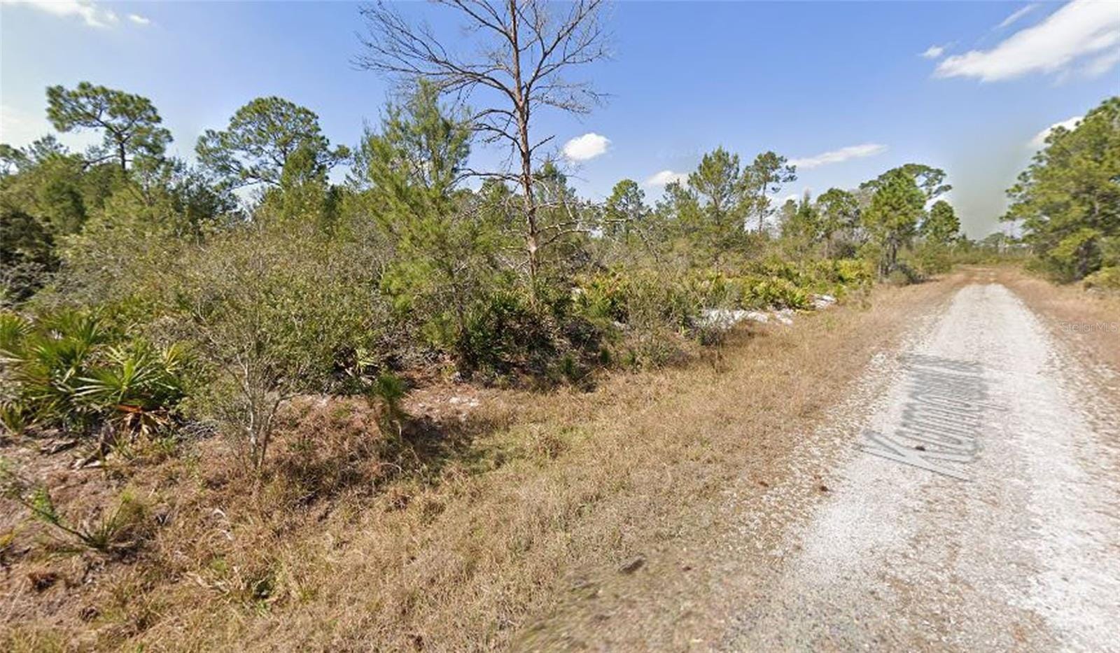 1256 Kumquat Street, Lake Placid, FL 33852