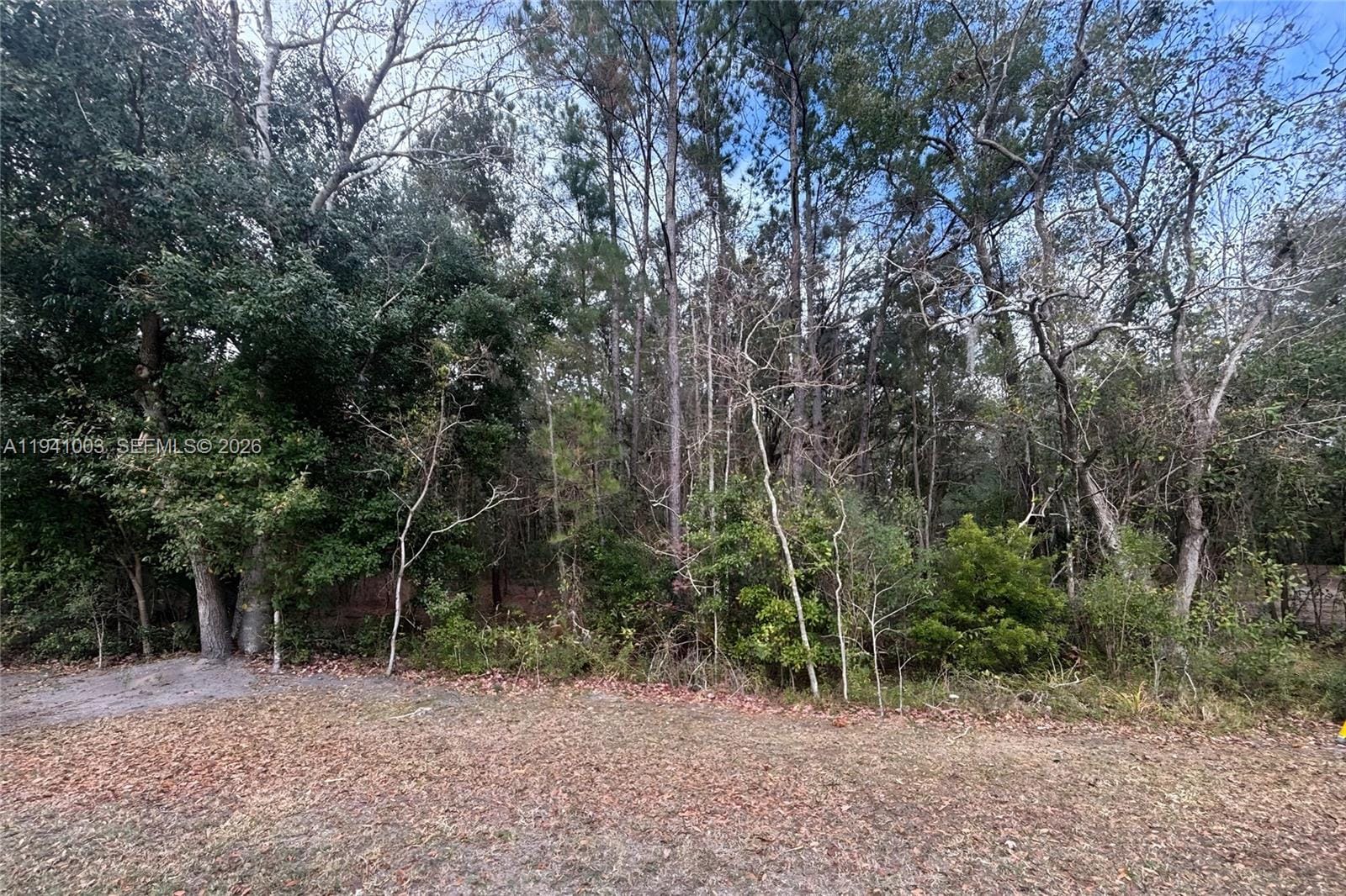 0 Landward, FL 32068 photo 2