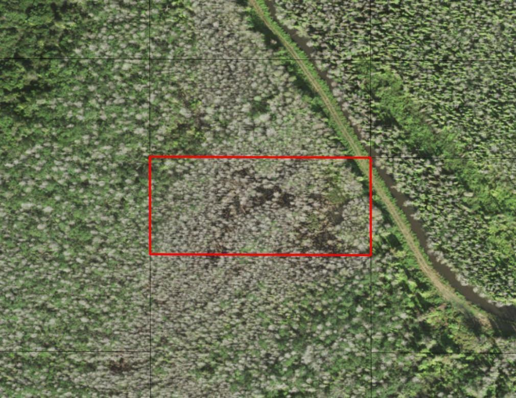 0 Holopaw Groves Road, St. Cloud, FL 34772, St Cloud