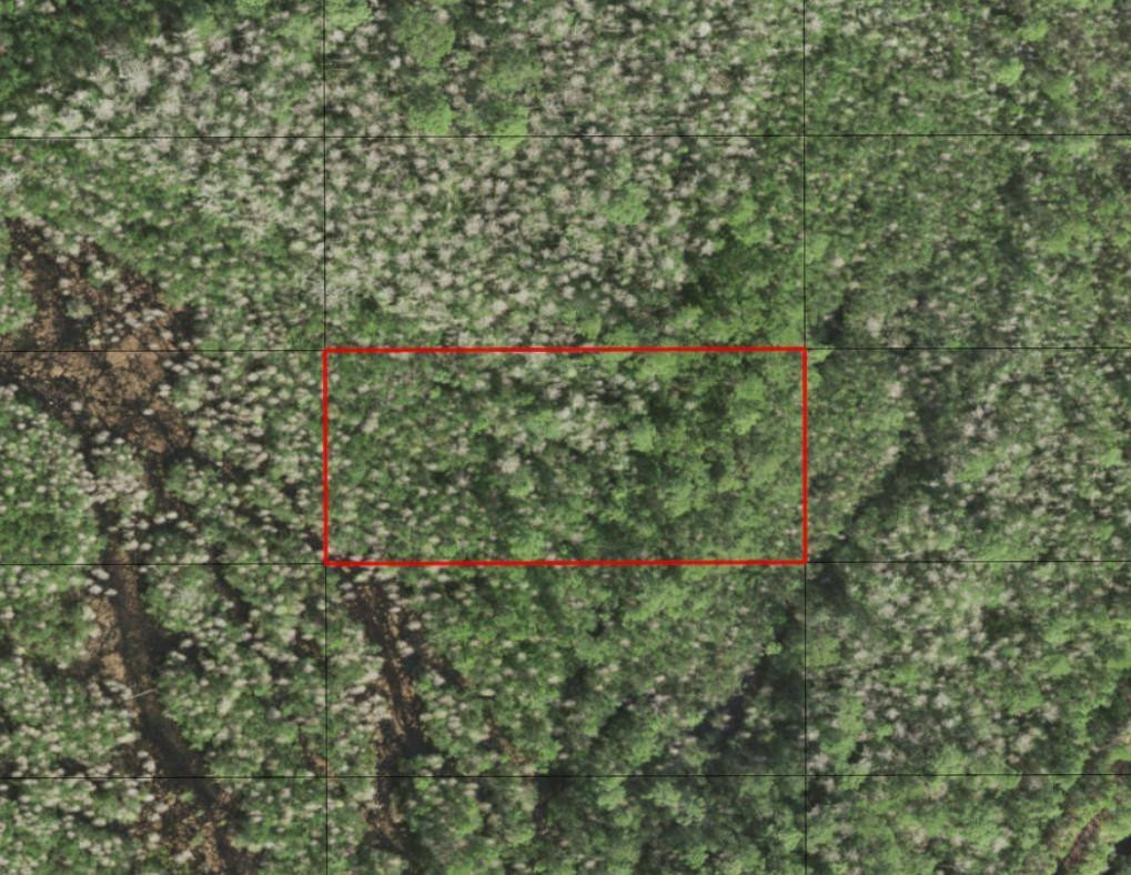 0 Holopaw Groves Road, St. Cloud, FL 34772, St Cloud