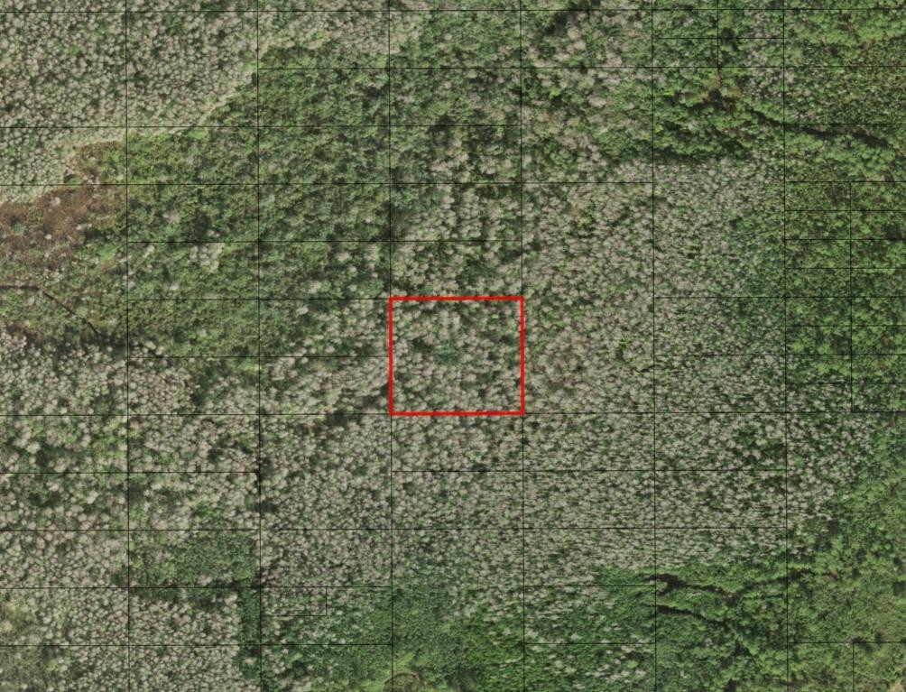 0 Holopaw Groves Road, St. Cloud, FL 34772, St Cloud