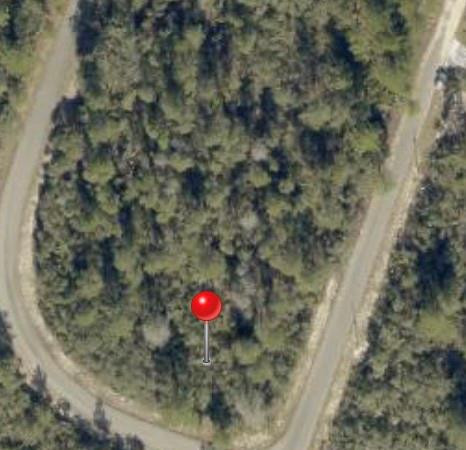 TBD FISHER WAY TRACK Tbd Fisher Way Track Fisher Way, Ocklawaha, FL 32179, Ocklawaha