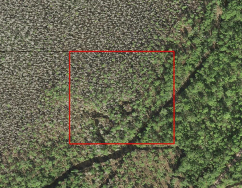 0 Holopaw Groves Road — photo 2