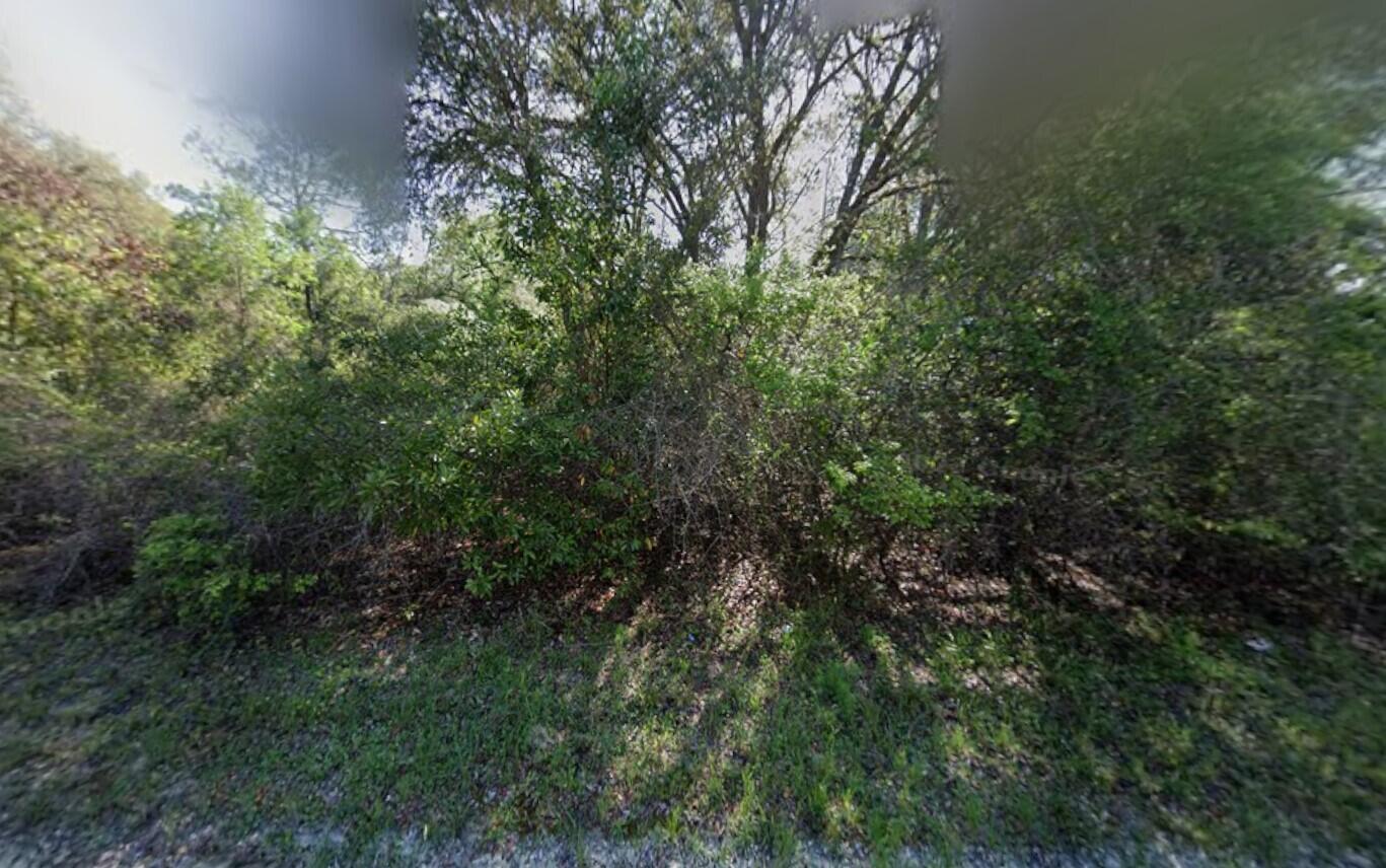 Tbd NE 799th Street, Old Town, FL 32680, Old Town
