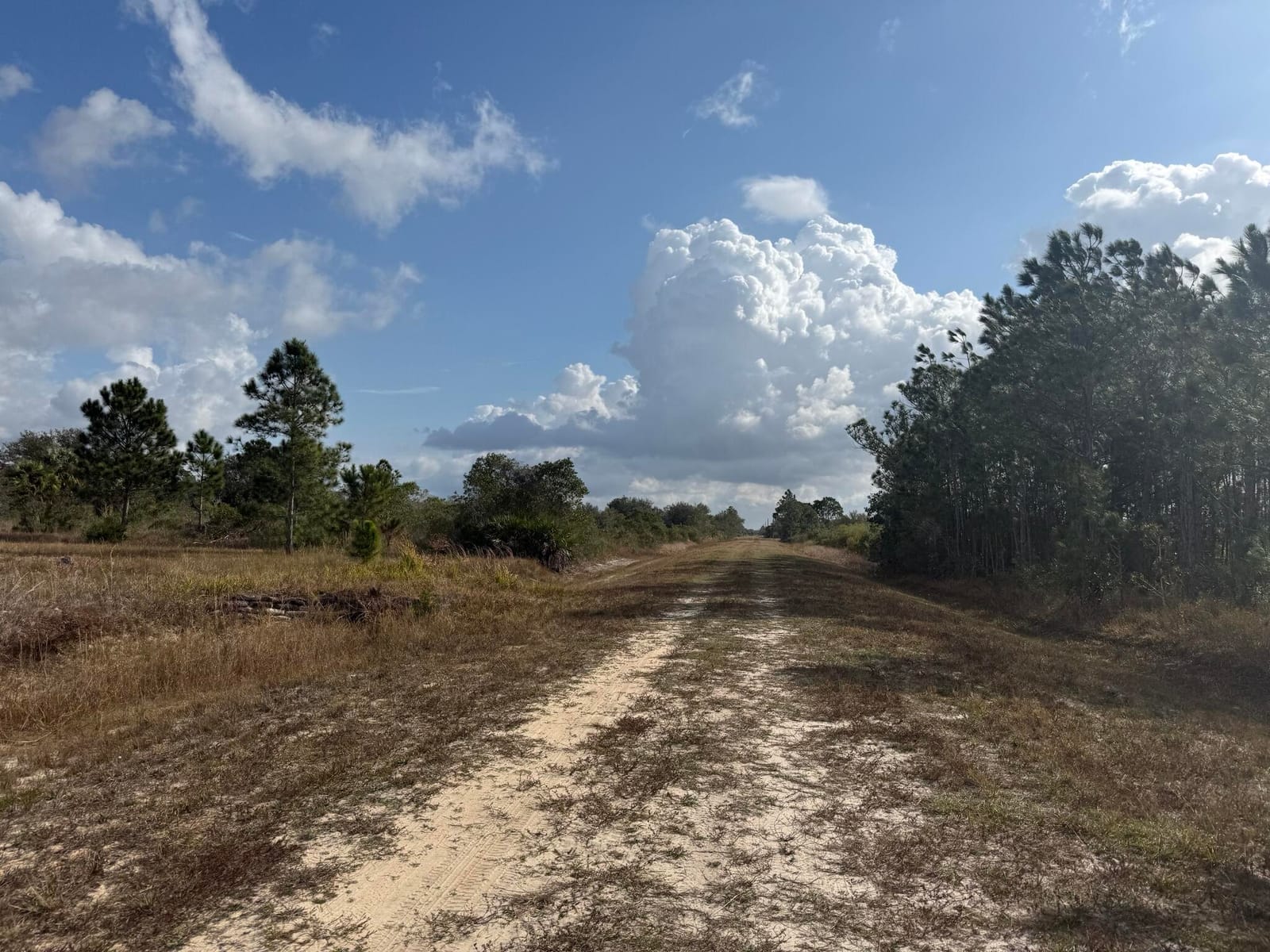 16375 NW 314th Street, Okeechobee, FL 34972 photo 2