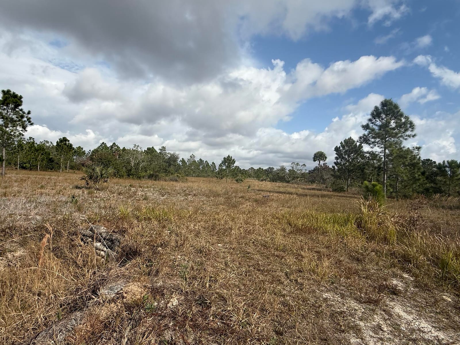 16375 NW 314th Street, Okeechobee, FL 34972 photo 3