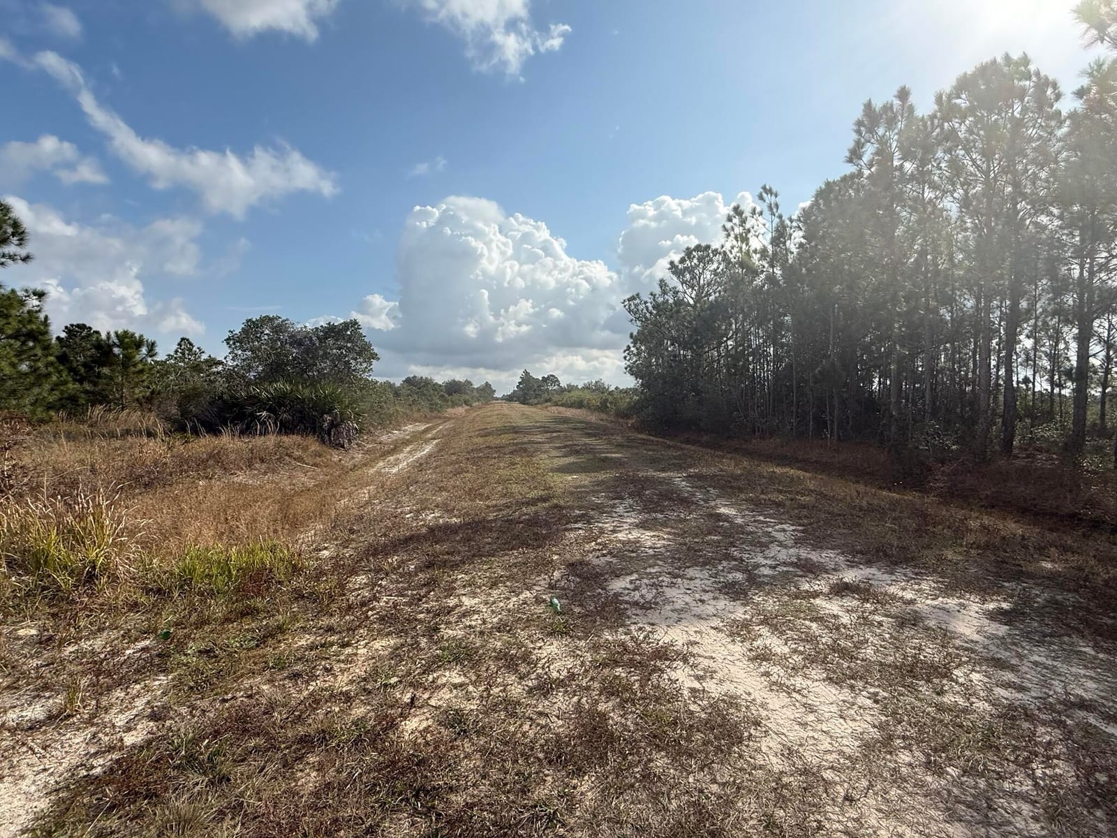 16375 NW 314th Street, Okeechobee, FL 34972 photo 7