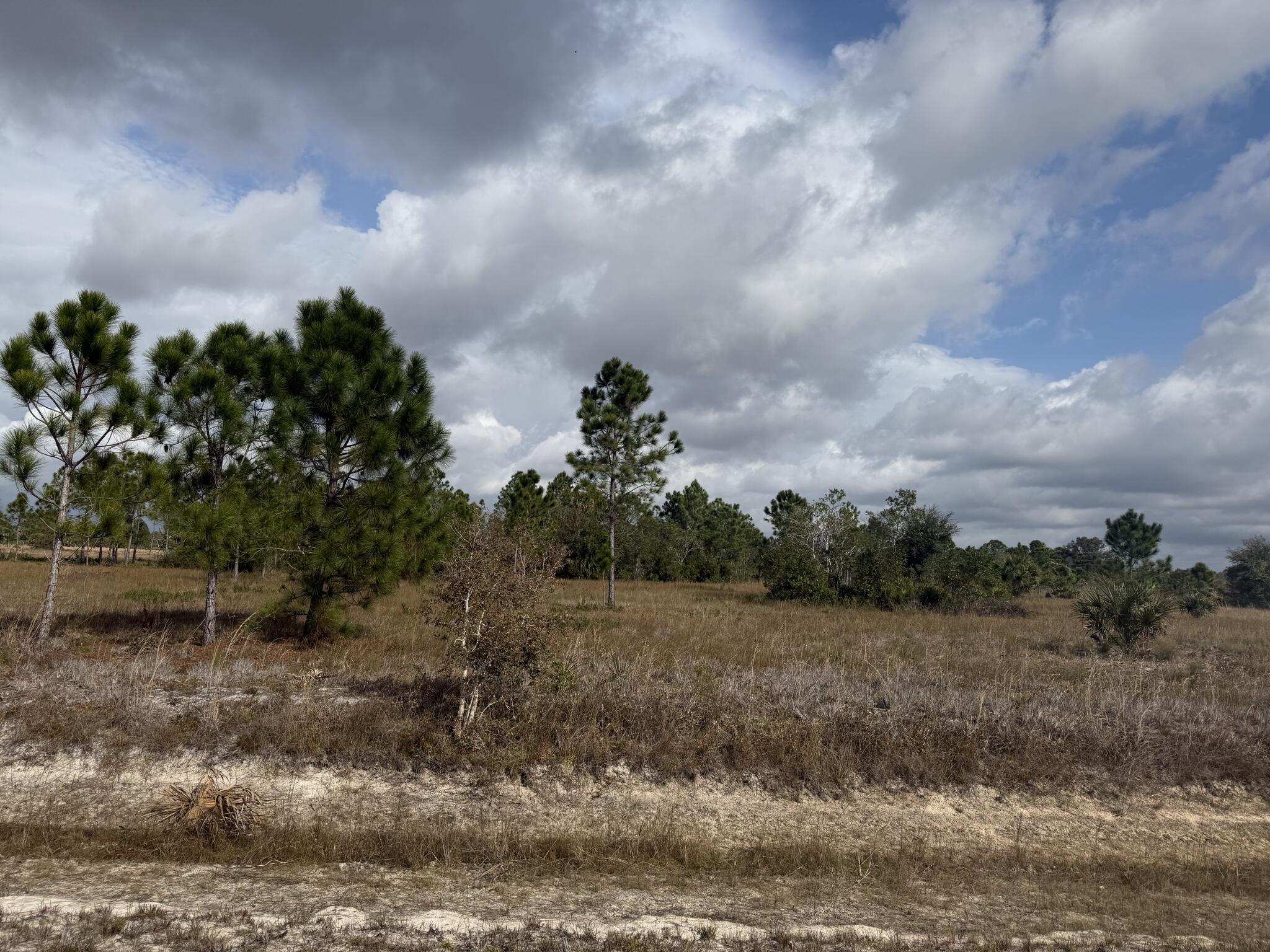 16375 NW 314th Street, Okeechobee, FL 34972, Okeechobee