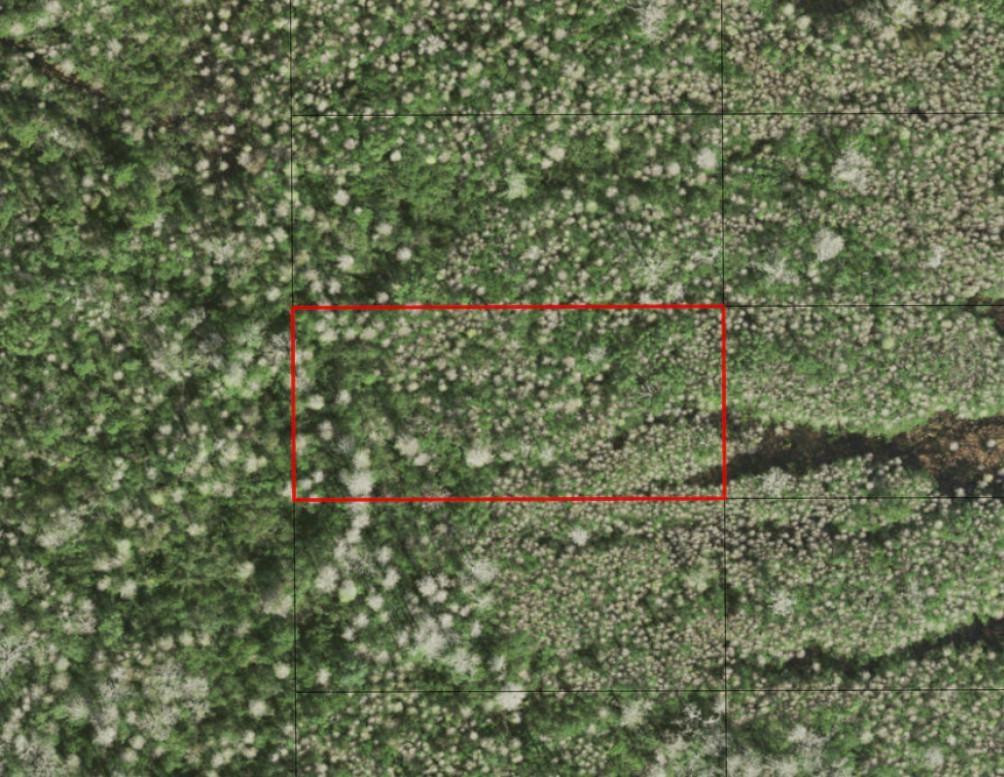 0 Holopaw Groves Road, St. Cloud, FL 34772, St Cloud
