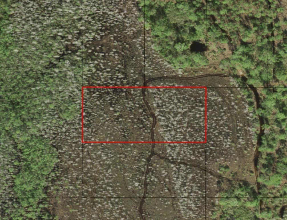 0 Holopaw Groves Road, St. Cloud, FL 34772, St Cloud