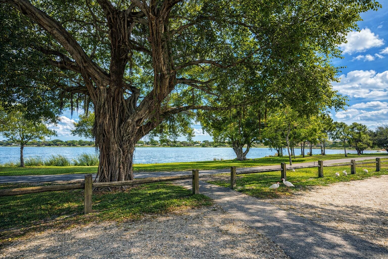 1950 Lake Osborne Drive 18, Lake Worth, FL 33461 photo 15