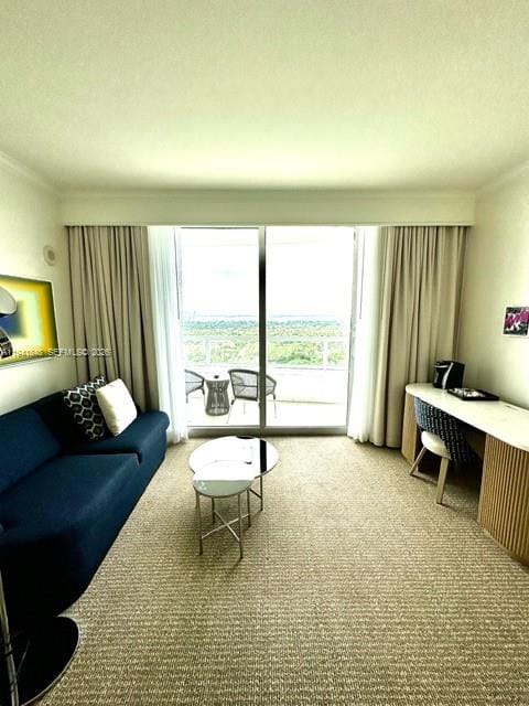 4401 Collins Avenue 1817, Miami Beach, FL 33140 photo 6