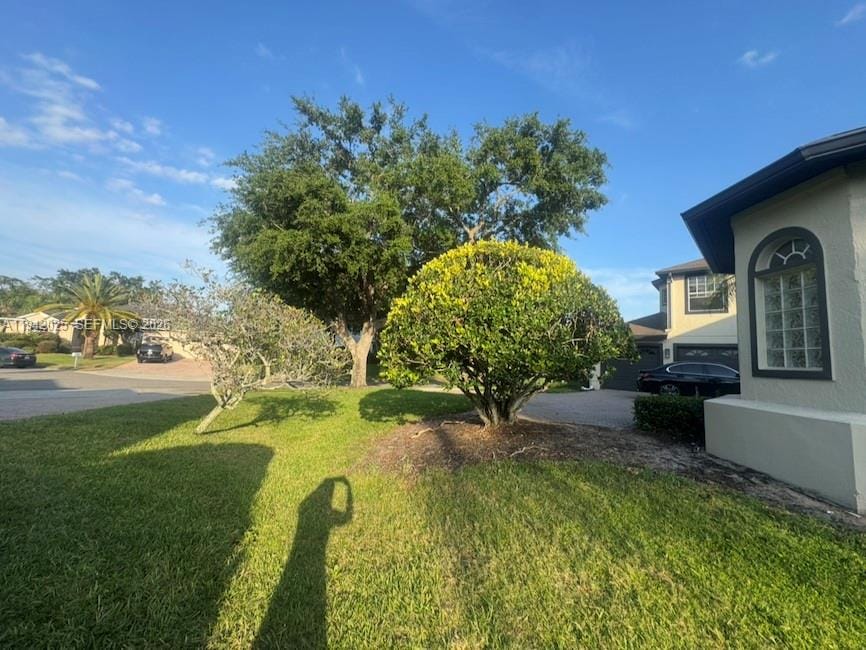 10020 Honey Tree Court — photo 8