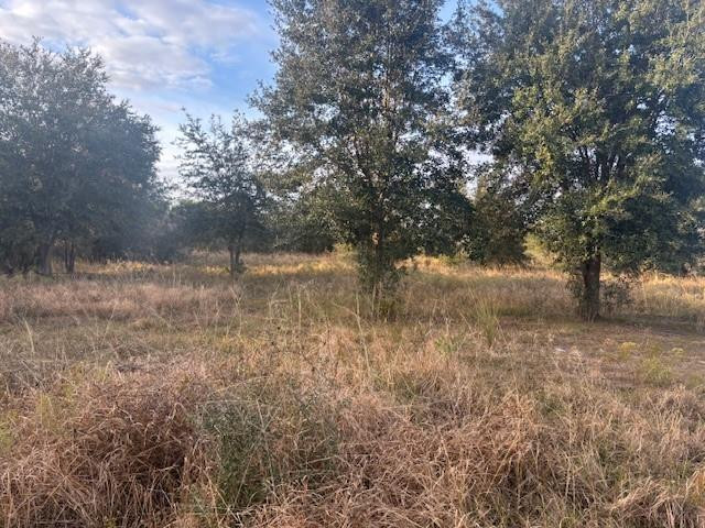 20745 NW 302nd Street, Okeechobee, FL 34972, Okeechobee