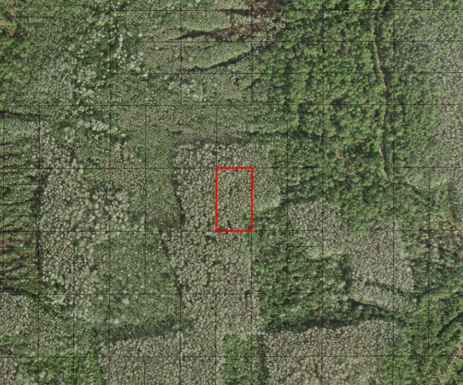 0 Holopaw Groves Road, St. Cloud, FL 34772, St Cloud