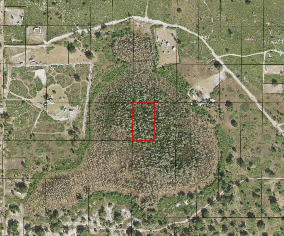 0 Holopaw Groves Road, St. Cloud, FL 34772, St Cloud